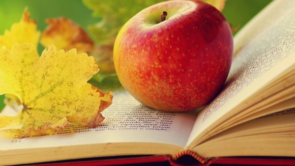 Книги про осень
