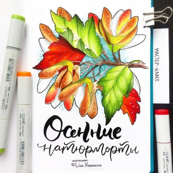 Лиза Краснова маркеры