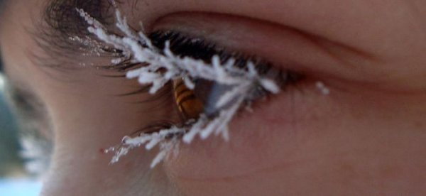 Снежинки на ресницах