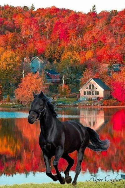 Пейзаж с лошадьми