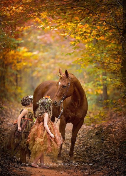 Лошадь в осеннем лесу