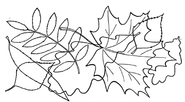 Задание для детей осенние листики