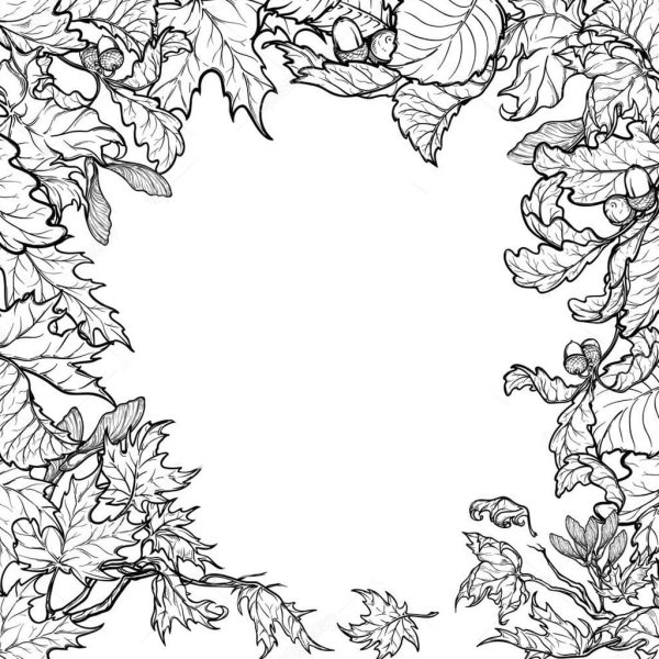 Осень рисунки красивые черно белые