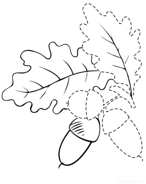 Лист Желудя раскраска