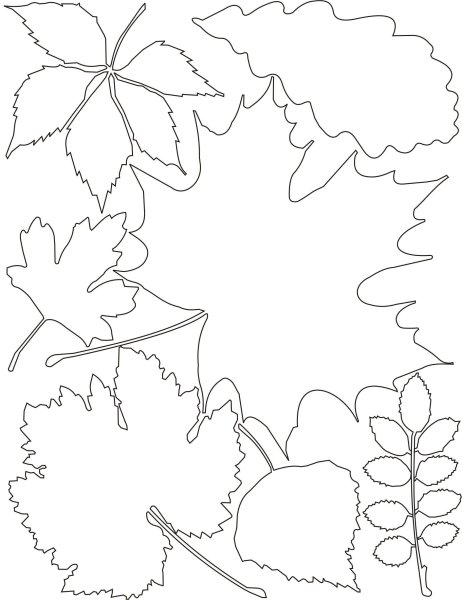 Трафареты осенних листьев