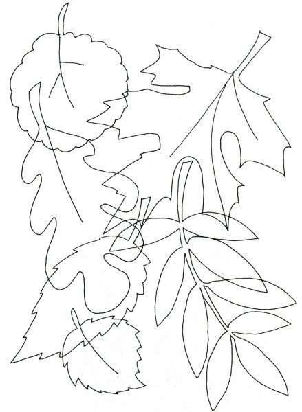 Осенние листья задания для дошкольников