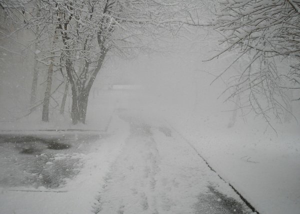 Снежная метель