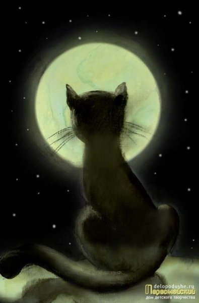 Лунный котенок