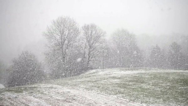 Снежная буря