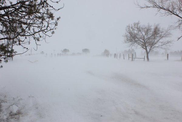 Снежная поземка