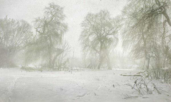 Снежная буря