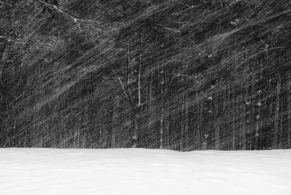 Снежная метель