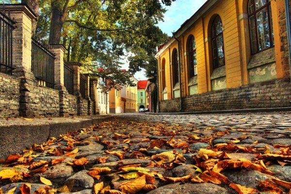 Эстония Таллин осень