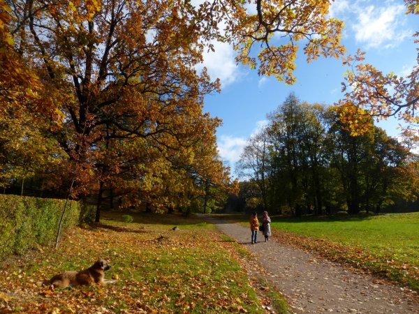 Львов осенью фото