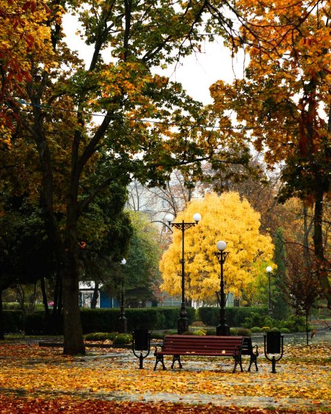 Кременчуг сквер