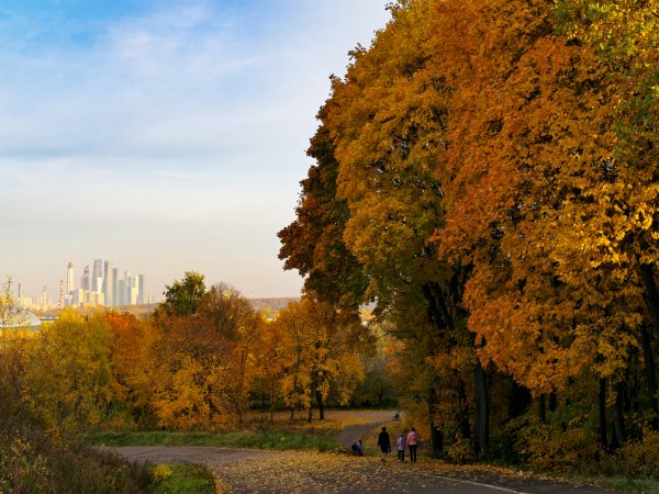 Крылатские холмы парк осенью