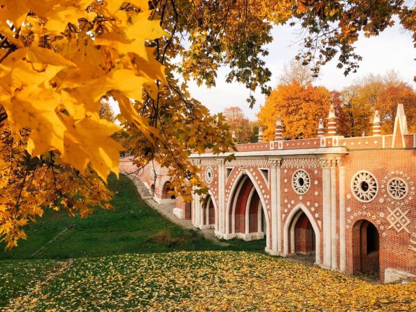 Осень в любимом городе