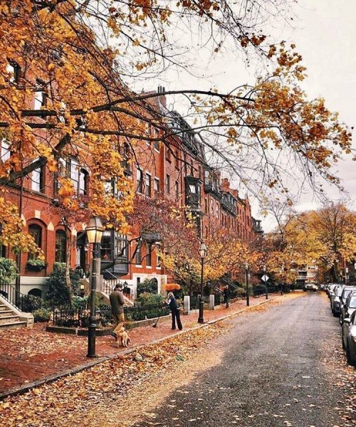 Бостон пригород