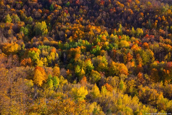 Жигулевские горы осенью Тольятти