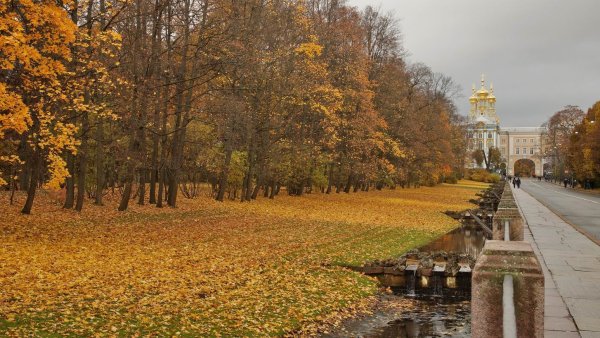 Город Пушкин Царское село осень