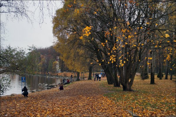 Поздняя осень в Петергофе