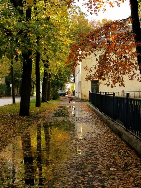 Осенняя аллея фото