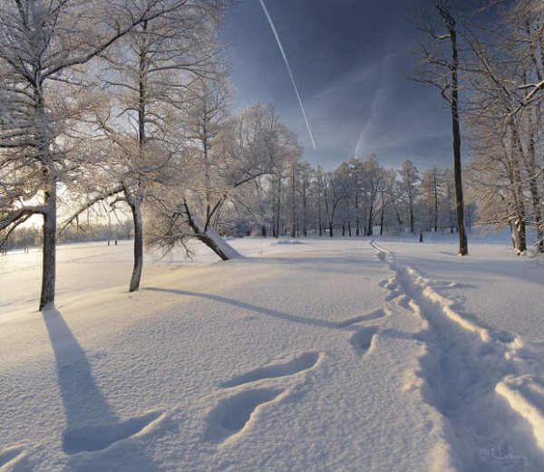 Запорошило снегом