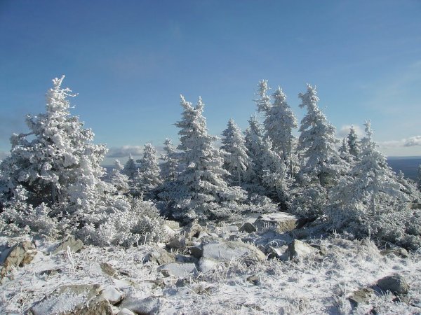 Запорошило снегом