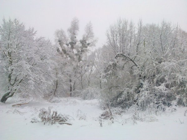 Запорошило снегом