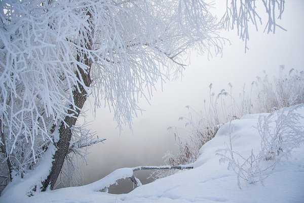 Снег порошит