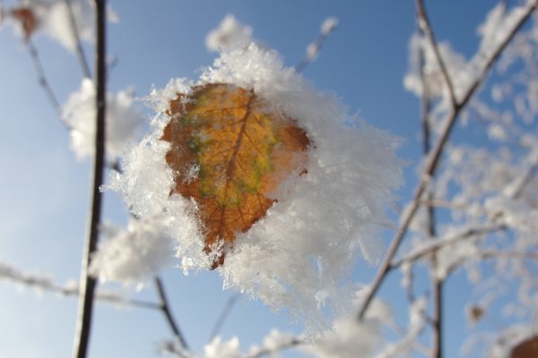 Ноябрь снег