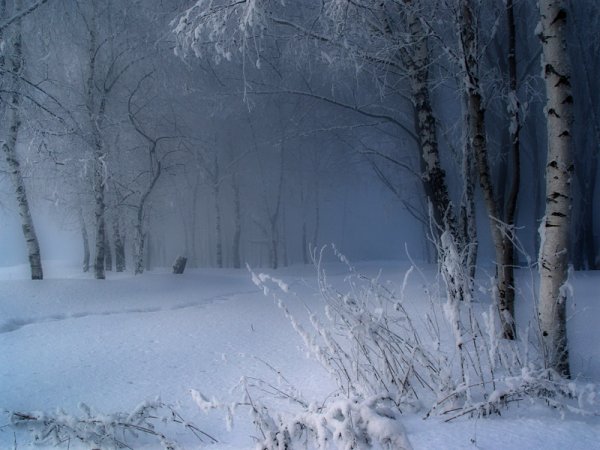 Зима метель