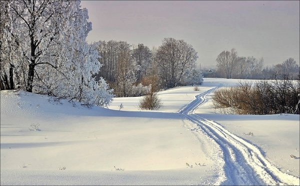 Замело дорогу снегом