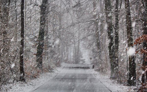 Снегопад на дороге