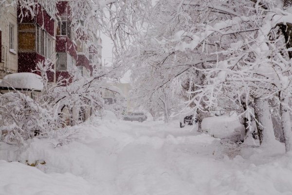 Заснеженный дворик