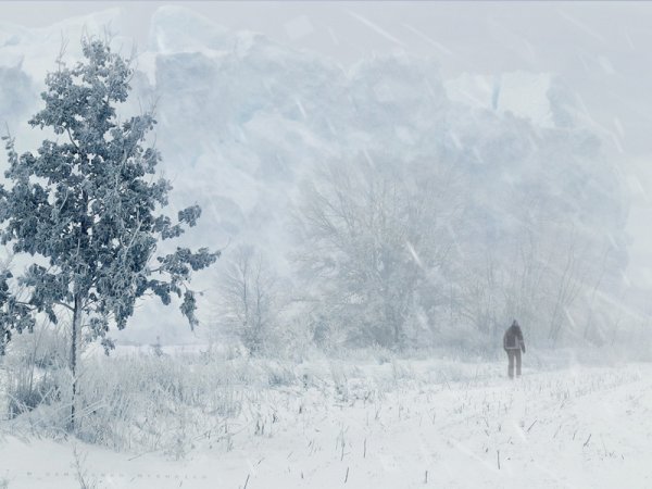 Метель метет