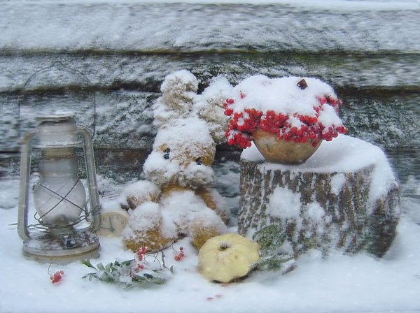 Запорошенные снегом вещи