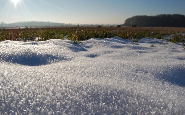 Снег блестит на снегу