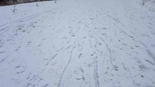 Снег на асфальте