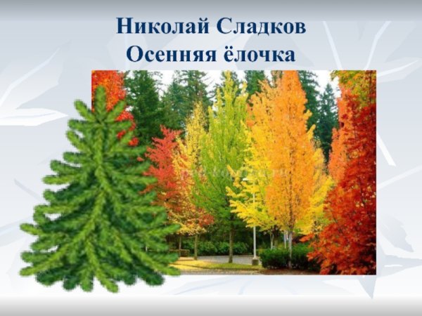 Н.Сладкова «осенняя елочка