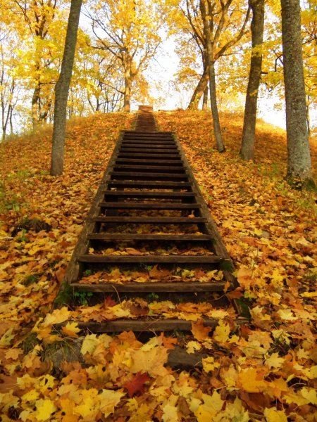 Осень лестница