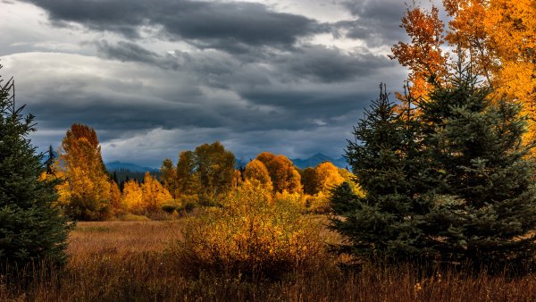 Осенние тучи