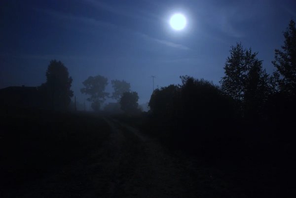 Лунная летняя ночь в деревне