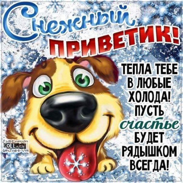 Приветик хорошего дня прикольные