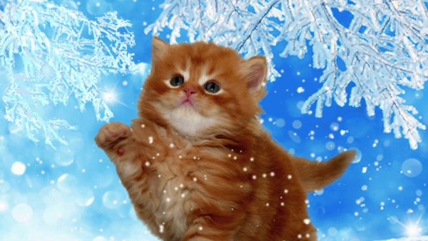 Хорошего зимнего настроения