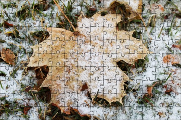 Листья зимой