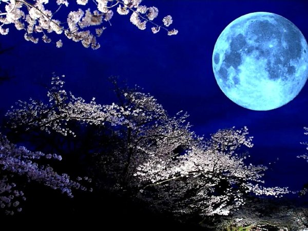Лунная ночь Япония