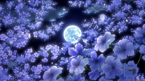 Луна и цветы