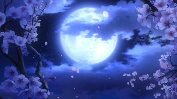 Сакура под луной