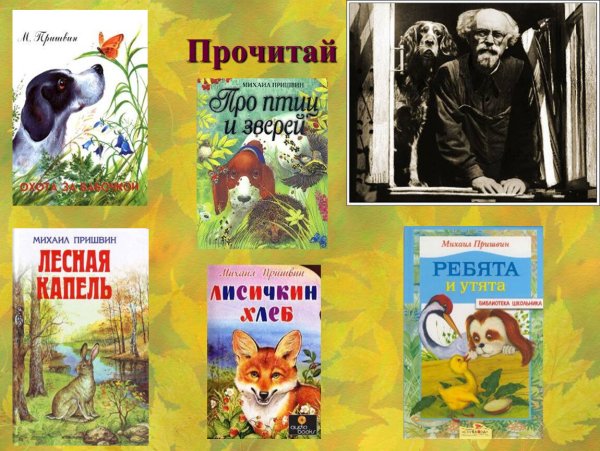Пришвин Михаил Михайлович писатель-натуралист
